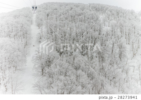 Beautiful Winter landscape 28273941