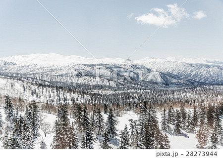 Beautiful Winter landscape 28273944