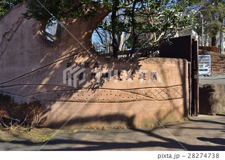 大森貝塚遺跡庭園 大森貝塚遺跡庭園 28274738
