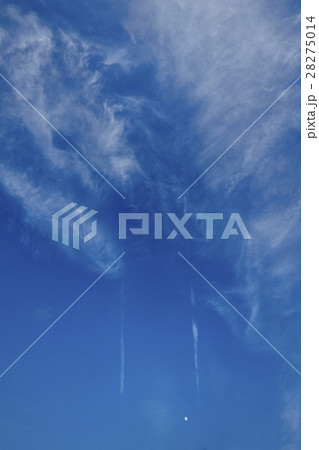 雲・空 雲・空 28275014
