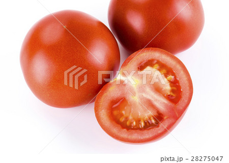 トマト ﾄﾏﾄ とまと 28275047