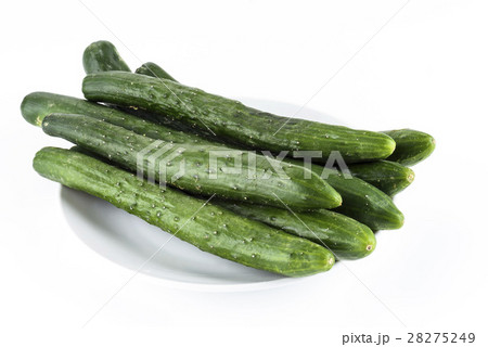 野菜 ベジタブル 青菜 28275249