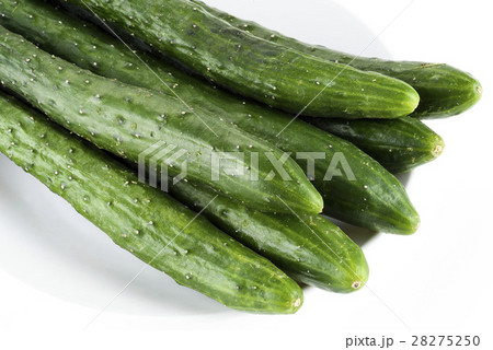 野菜 ベジタブル 青菜 28275250