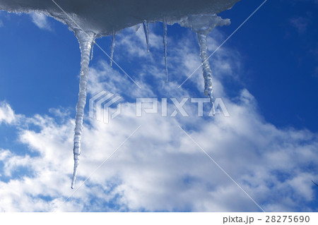 氷柱と青空 氷柱と青空 28275690
