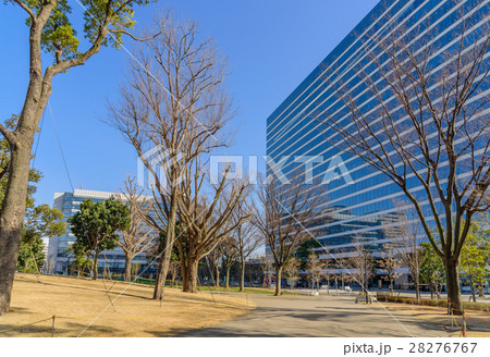 中野四季の森公園 中野四季の森公園 28276767