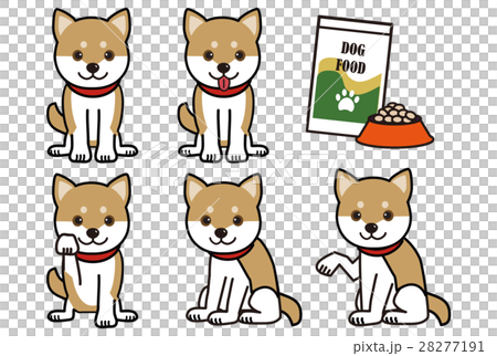 Brown Shiba Inu Variation Brown Shiba Inu Variation 28277191