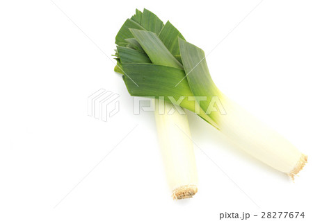 野菜　ポロねぎ　リーキ　西洋野菜 28277674