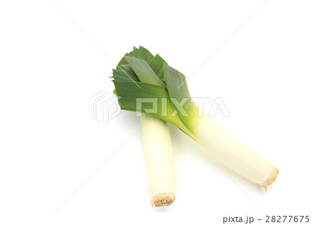 野菜　ポロねぎ　リーキ　西洋野菜 28277675