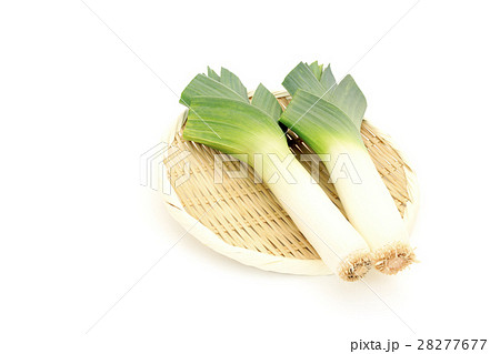 野菜　ポロねぎ　リーキ　西洋野菜 28277677