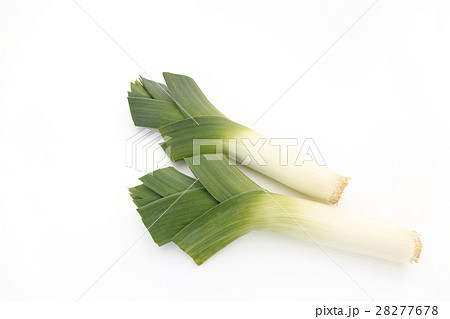 野菜 ポロねぎ リーキ 西洋野菜の写真素材