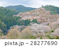 吉野 28277690