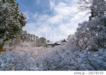 絶景・冬の東福寺の雪景色(京都の風景) 絶景・冬の東福寺の雪景色(京都の風景) 28278159