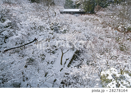 絶景・冬の東福寺の雪景色（京都の風景） 28278164