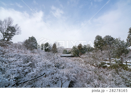 絶景・冬の東福寺の雪景色（京都の風景） 28278165