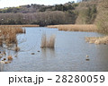一碧湖　沼池 28280059