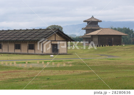 鞠智城 28280636