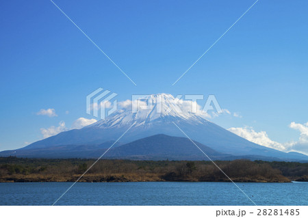雪を冠る富士山　精進湖 28281485