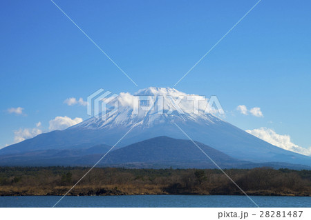 雪を冠る富士山　精進湖 28281487