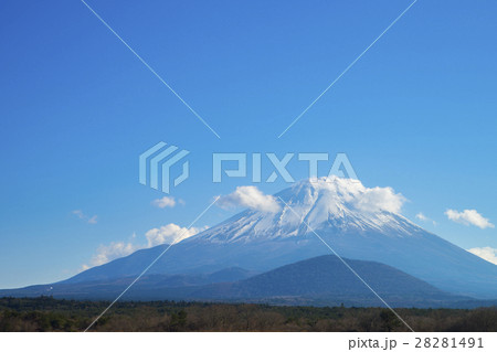 雪を冠る富士山　精進湖 28281491