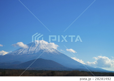 雪を冠る富士山　精進湖 28281492