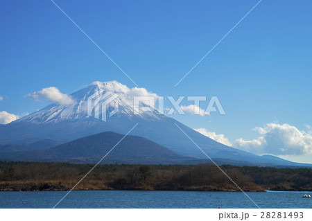 雪を冠る富士山　精進湖 28281493
