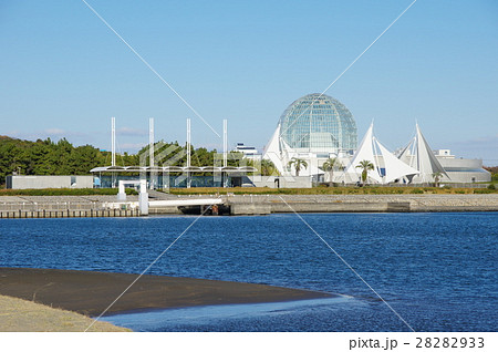 葛西臨海水族園（東京都江戸川区） 28282933