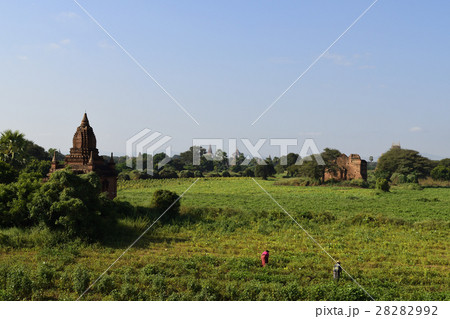 バガンの仏塔 28282992