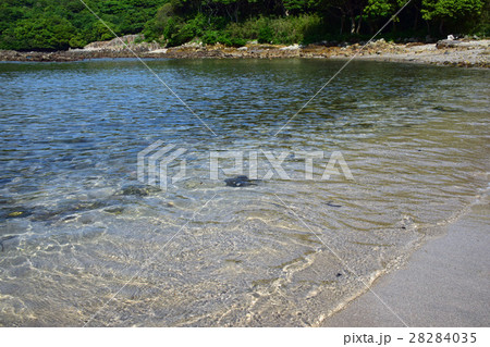 御鉾ケ浦と黒田の家臣 (宮崎県日向市) 御鉾ケ浦と黒田の家臣 (宮崎県日向市) 28284035