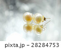 Earrings with pearls on the background 28284753