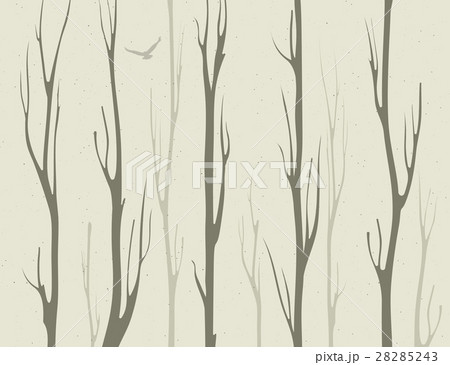 dry branches of bamboo trees 28285243