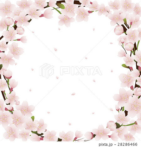 桜のフレーム素材のイラスト素材 桜のフレーム素材のイラスト素材