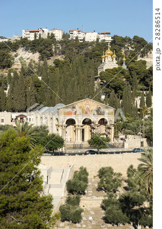 Kidron Valley and the Mount of Olives in Israel 28286514