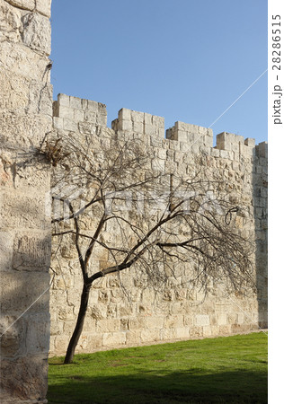 Walls of Jerusalem Walls of Jerusalem 28286515