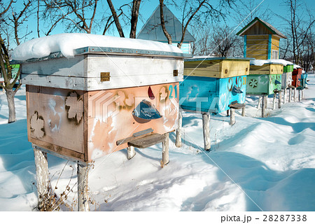 Beehives in apiary covered with snow in wintertime Beehives in apiary covered with snow in wintertime 28287338