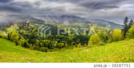 meadow with trees in mountains at sunset 28287751
