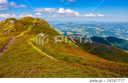 path through a meadow on hillside 28287777