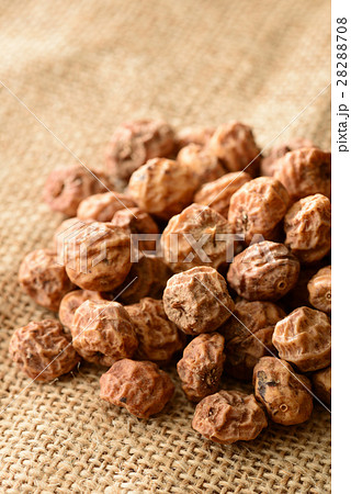 タイガーナッツ 28288708