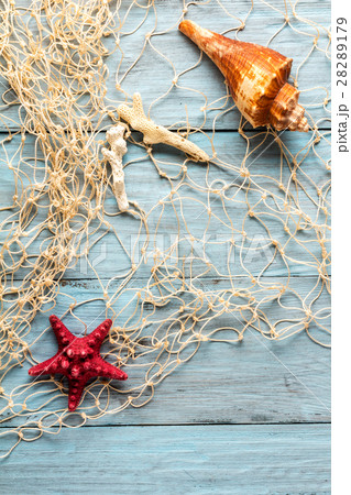 starfish, seashell and marine network 28289179