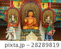 buddha temple 28289819