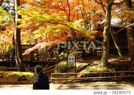 中尊寺の峯薬師堂 28290575