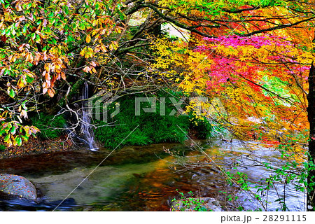 花園渓谷 28291115