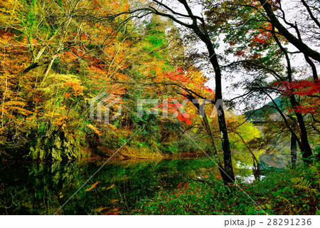 水沼ダム 28291236