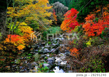 大北川 大北川 28291240