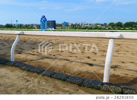 浦和競馬場の風景 28291650
