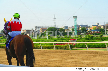 浦和競馬場の風景 浦和競馬場の風景 28291657