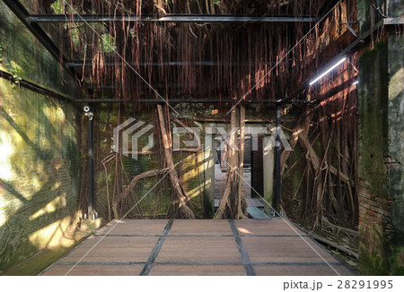 徳記洋行・安平樹屋　台南 28291995