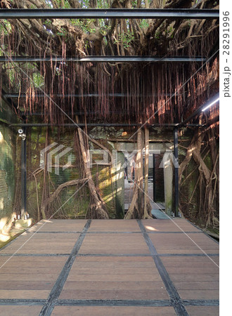 徳記洋行・安平樹屋　台南 28291996