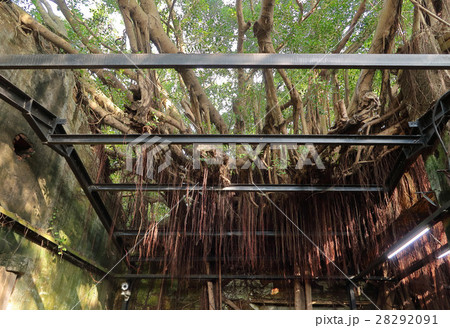 徳記洋行・安平樹屋　台南 28292091