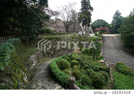 秋の高知城の風景 28292428