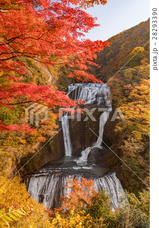 袋田の滝　秋の紅葉 28293390